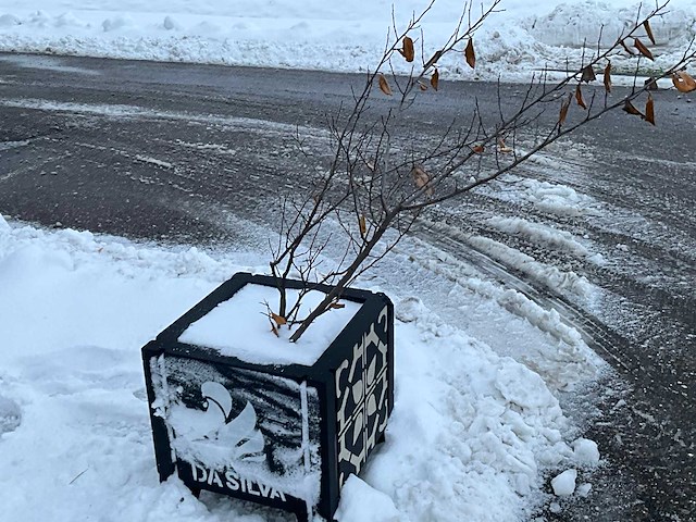 Plantenbak terras beton (9x) - afbeelding 3 van  9