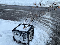 Plantenbak terras beton (9x) - afbeelding 3 van  9