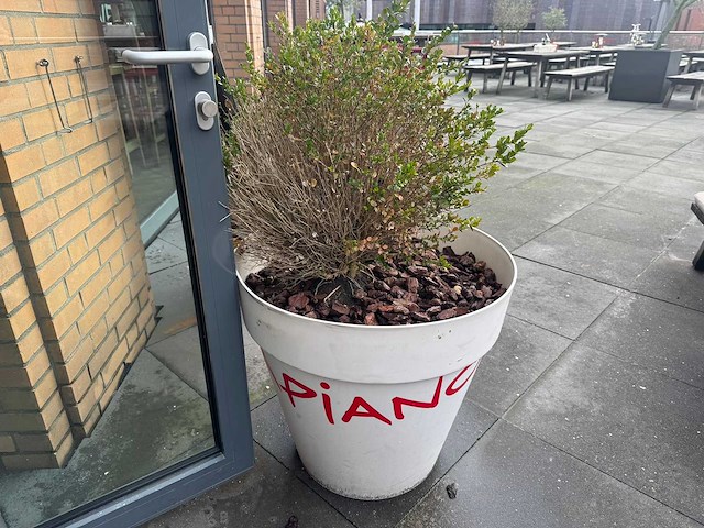 Plantenbak "vapiano" (2x) - afbeelding 1 van  5