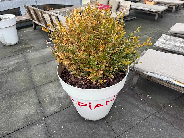 Plantenbak "vapiano" (2x) - afbeelding 3 van  5