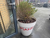 Plantenbak "vapiano" (2x) - afbeelding 1 van  5