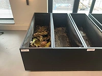 Plantenbak verrijdbaar (2x) - afbeelding 5 van  5