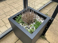 Plantenbak vierkant (2x) - afbeelding 3 van  3
