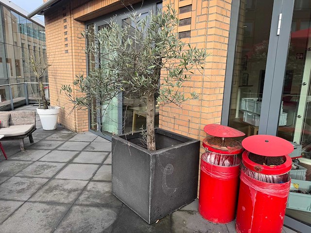 Plantenbak - afbeelding 1 van  4