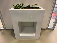 Plantenbak - afbeelding 3 van  8