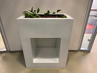 Plantenbak - afbeelding 7 van  8