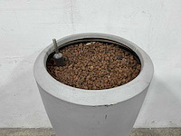 Plantenbak - afbeelding 1 van  2