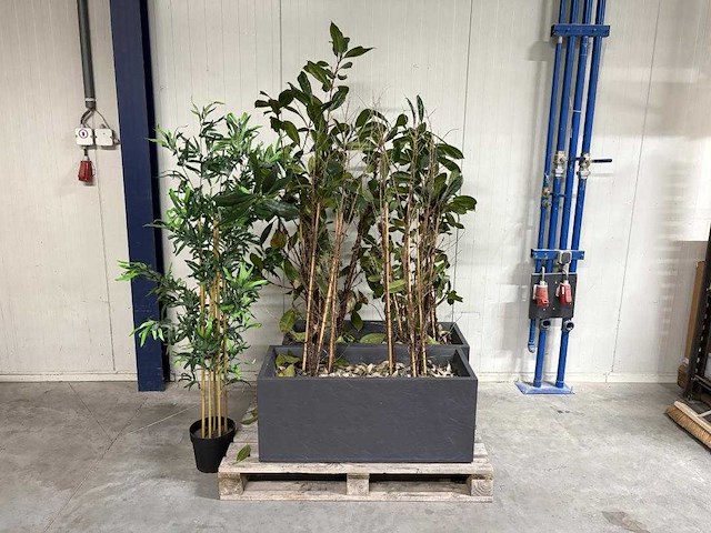 Plantenbak - afbeelding 1 van  3