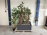 Plantenbak - afbeelding 1 van  3