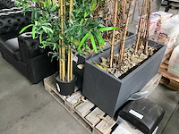 Plantenbak - afbeelding 3 van  3