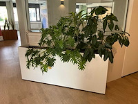 Plantenbak - afbeelding 1 van  4