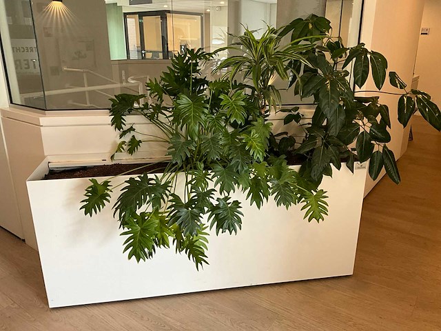Plantenbak - afbeelding 2 van  4