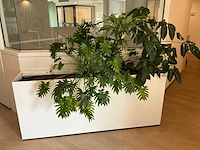 Plantenbak - afbeelding 2 van  4