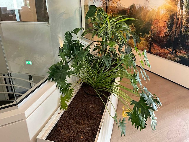 Plantenbak - afbeelding 3 van  4