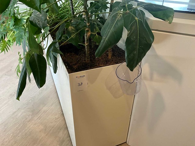 Plantenbak - afbeelding 4 van  4