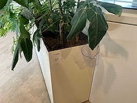 Plantenbak - afbeelding 4 van  4