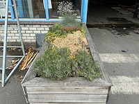 Plantenbak - afbeelding 4 van  6