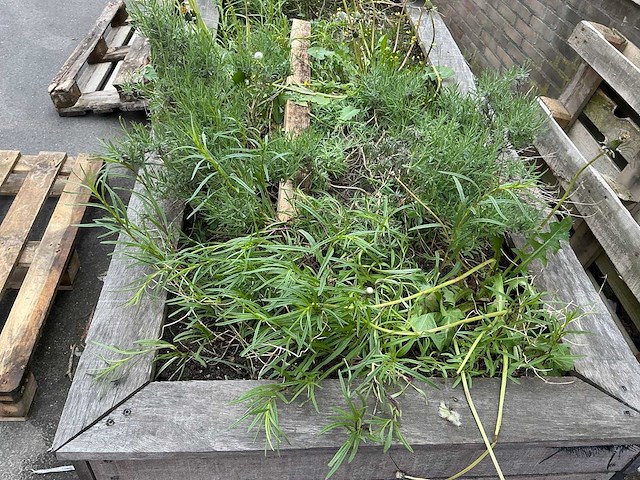 Plantenbak - afbeelding 10 van  10