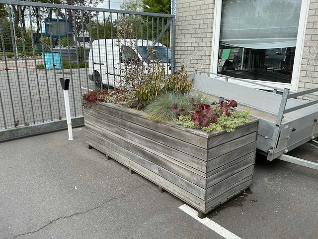 Plantenbak - afbeelding 1 van  8