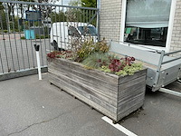 Plantenbak - afbeelding 1 van  8