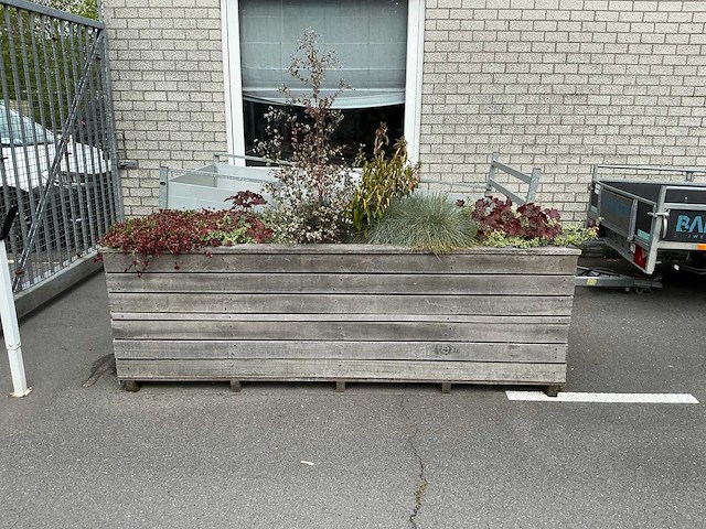 Plantenbak - afbeelding 2 van  8