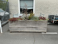 Plantenbak - afbeelding 2 van  8