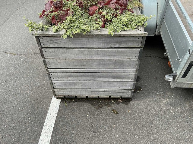 Plantenbak - afbeelding 6 van  8