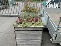 Plantenbak - afbeelding 7 van  8