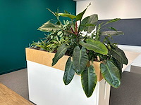 Plantenbak - afbeelding 1 van  4