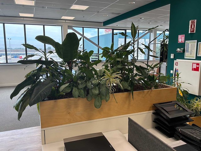 Plantenbak - afbeelding 2 van  4