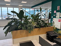 Plantenbak - afbeelding 2 van  4