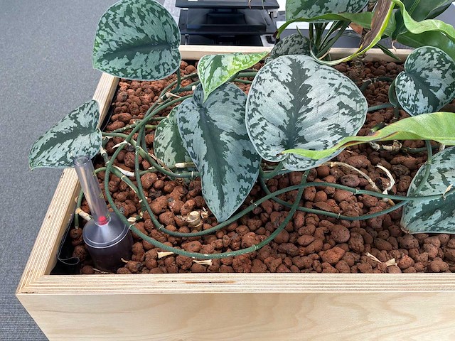 Plantenbak - afbeelding 3 van  4
