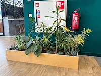 Plantenbak - afbeelding 1 van  4