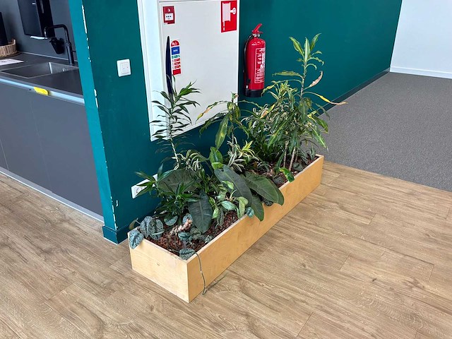 Plantenbak - afbeelding 2 van  4