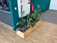 Plantenbak - afbeelding 2 van  4