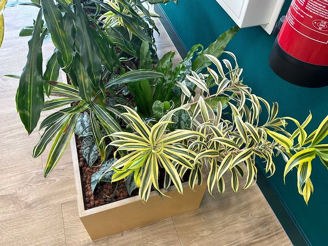 Plantenbak - afbeelding 4 van  4
