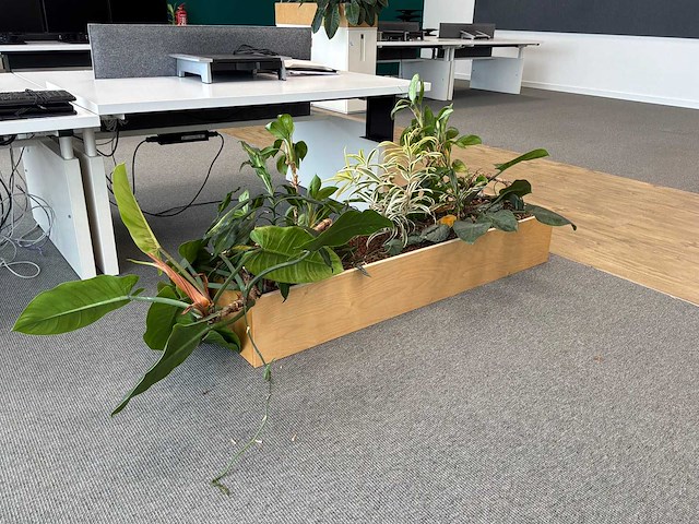 Plantenbak - afbeelding 1 van  4