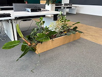 Plantenbak - afbeelding 1 van  4