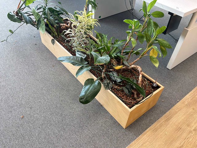 Plantenbak - afbeelding 3 van  4