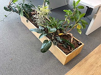 Plantenbak - afbeelding 3 van  4