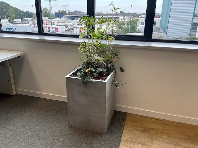 Plantenbak - afbeelding 1 van  4