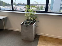 Plantenbak - afbeelding 1 van  4