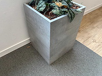 Plantenbak - afbeelding 3 van  4