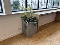 Plantenbak - afbeelding 1 van  4