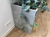Plantenbak - afbeelding 3 van  4