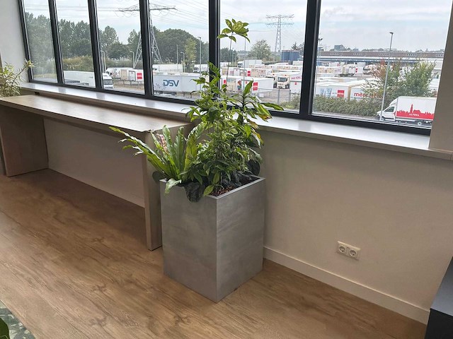 Plantenbak - afbeelding 1 van  4