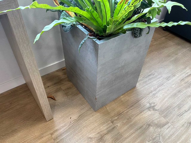Plantenbak - afbeelding 3 van  4