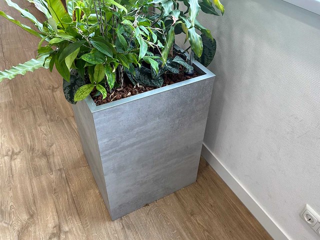Plantenbak - afbeelding 4 van  4