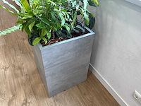 Plantenbak - afbeelding 4 van  4