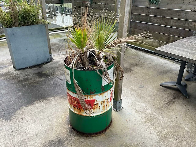 Plantenbak - afbeelding 1 van  1